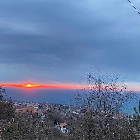 вилекула