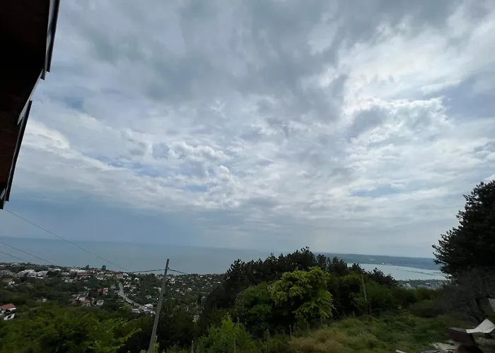 вилекула ヴァルナ